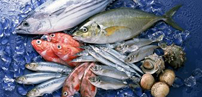 海產品的營養價值與保健作用